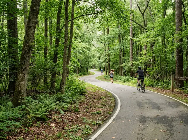 Raleigh NC greenway trail surrounded by trees and natural landscape